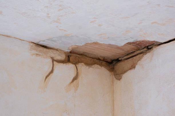 Trusted Morganville, NJ Water damage restoration Experts