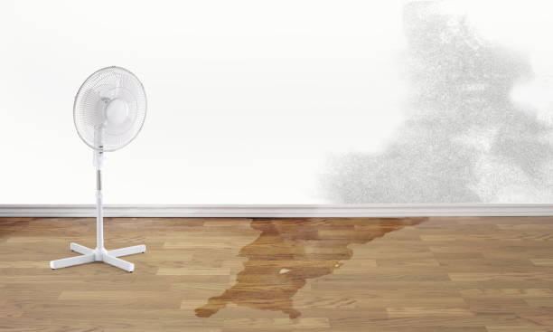 Best Water damage restoration near me  in Morganville, NJ