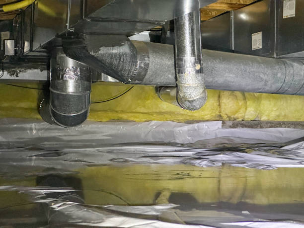 Best Water damage cleanup near me  in Morganville, NJ